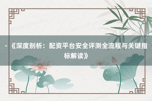 - 《深度剖析：配资平台安全评测全流程与关键指标解读》