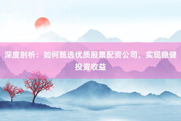 深度剖析：如何甄选优质股票配资公司，实现稳健投资收益