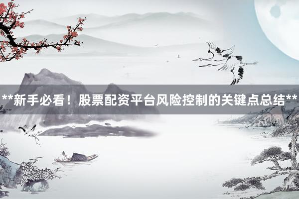 **新手必看！股票配资平台风险控制的关键点总结**