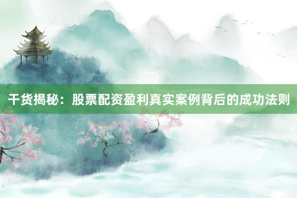 干货揭秘：股票配资盈利真实案例背后的成功法则