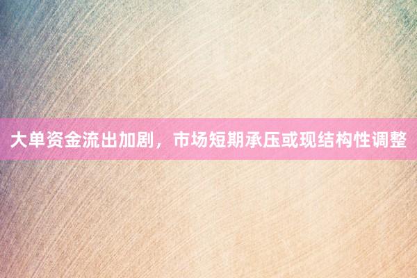 大单资金流出加剧，市场短期承压或现结构性调整