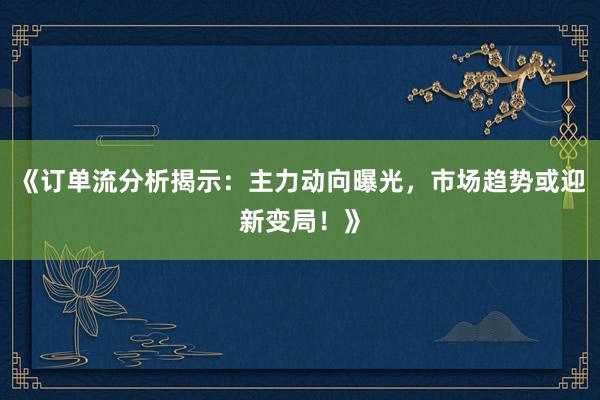 《订单流分析揭示：主力动向曝光，市场趋势或迎新变局！》